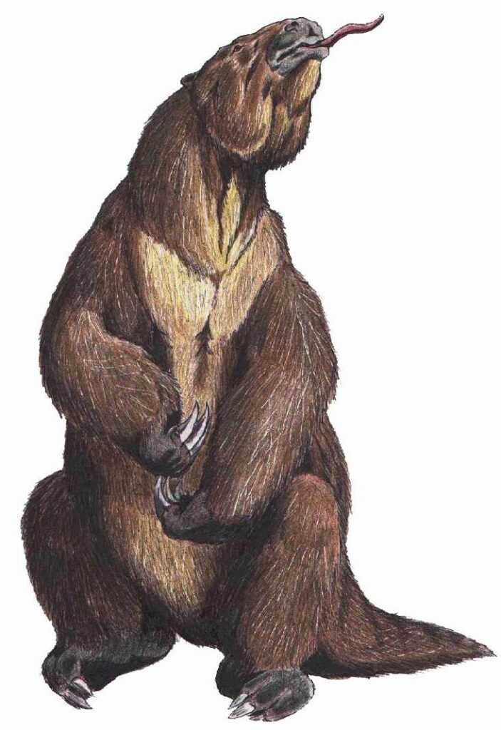 Megatherium americanum