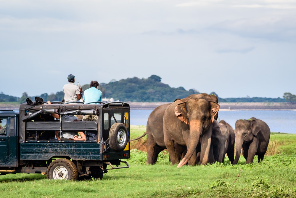 Yala Nationaal Park