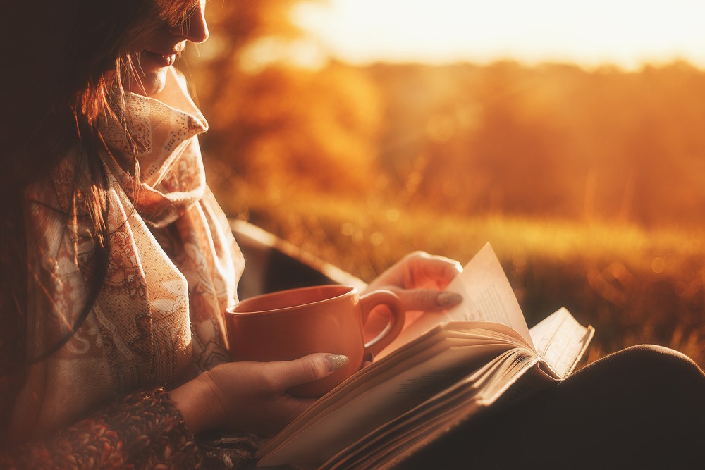 boek lezen