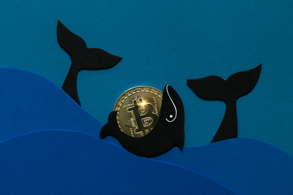 Top 10 Rijkste Mensen in Crypto rijkste crypto