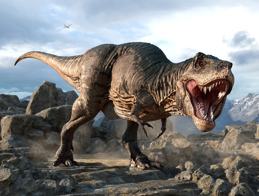 trex weetjes