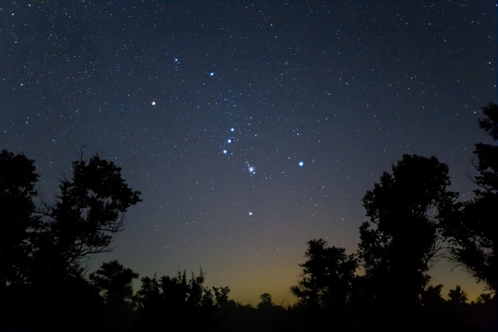Orion Orion