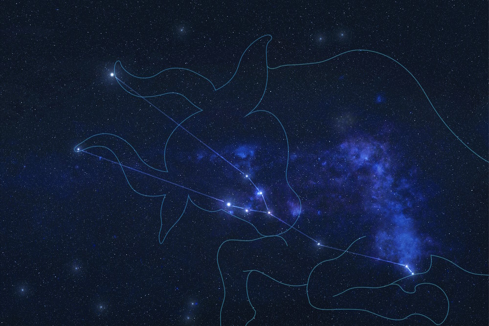 Taurus Taurus
