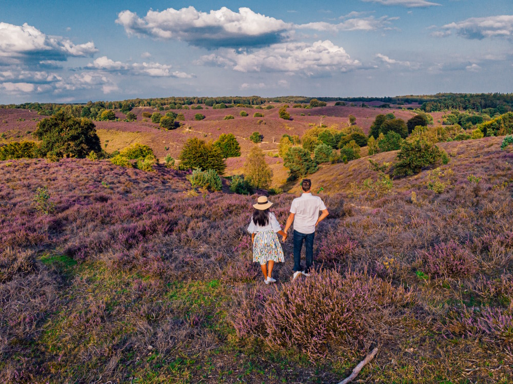 Veluwe Veluwe