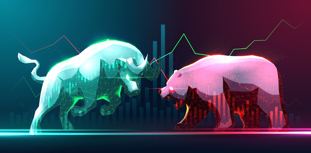 bull vs bear 1 bull vs bear 1