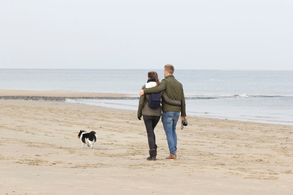 zeeland zeeland