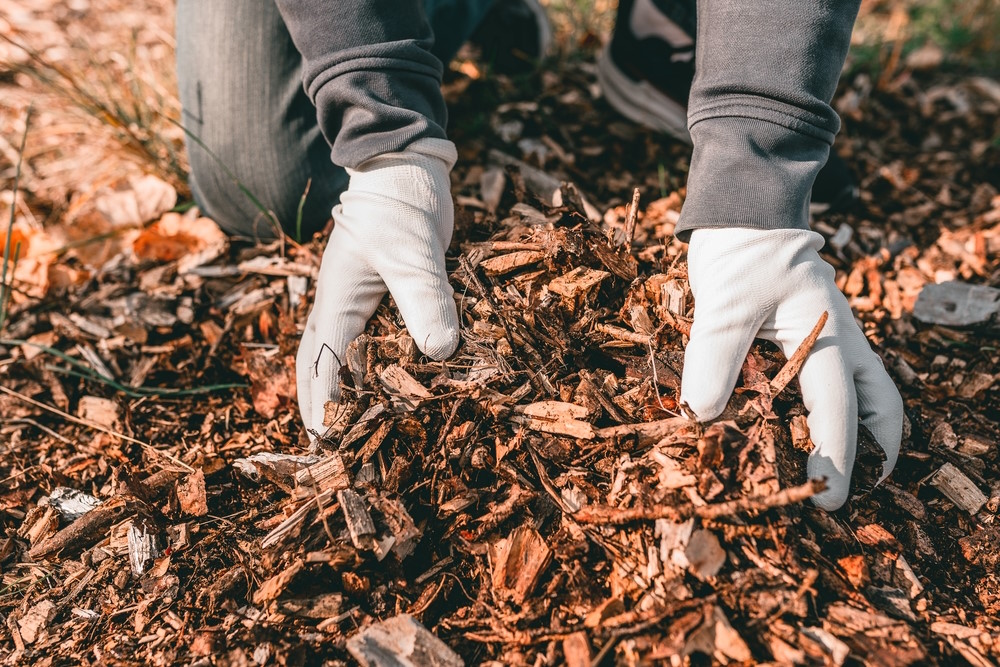 mulch