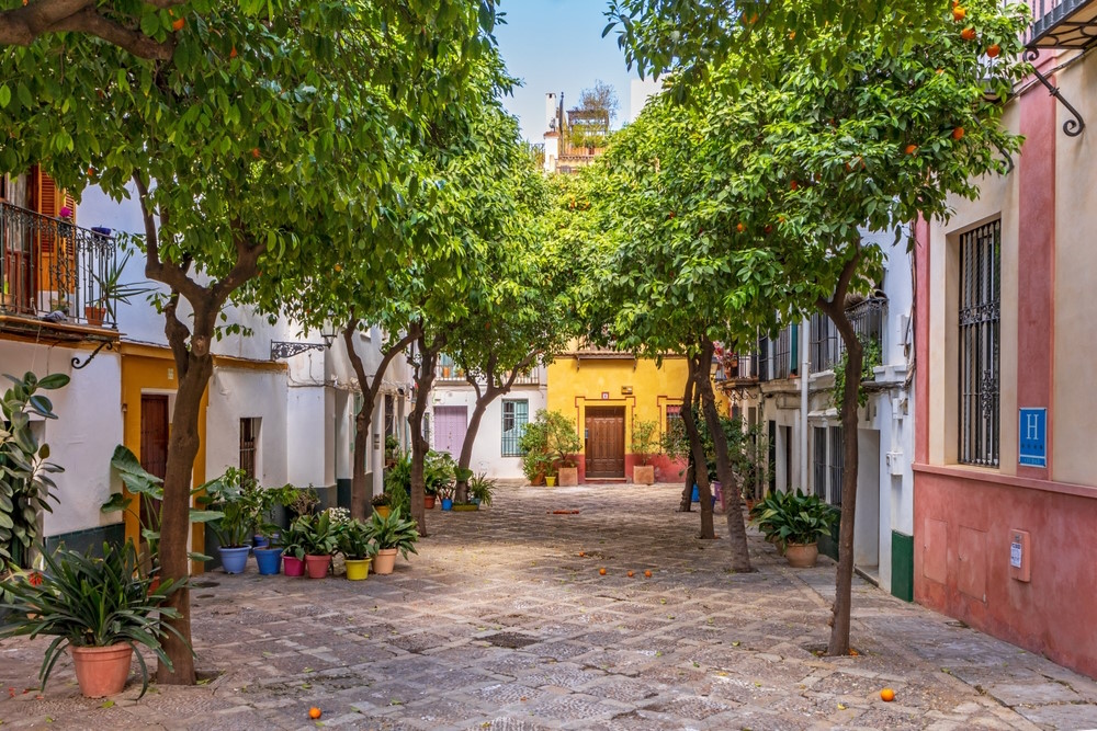 Barrio de Santa Cruz Barrio de Santa Cruz