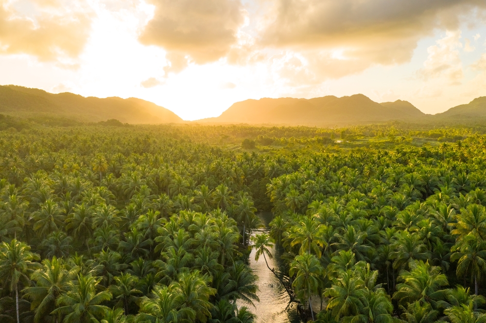 10 Dingen die je niet mag missen tijdens een vakantie op Suriname suriname