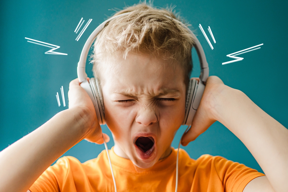 harde muziek harde muziek