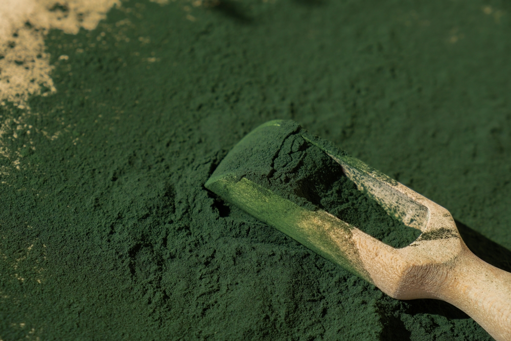 spirulina spirulina