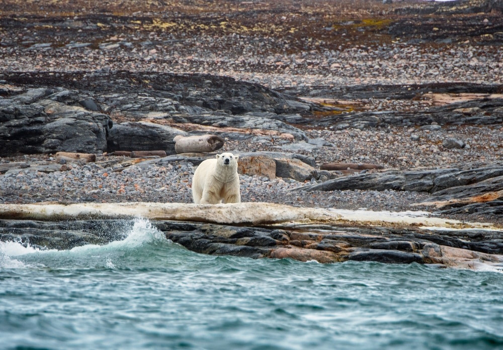 Svalbard