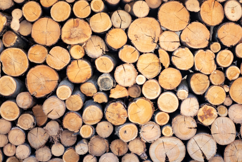 hout
