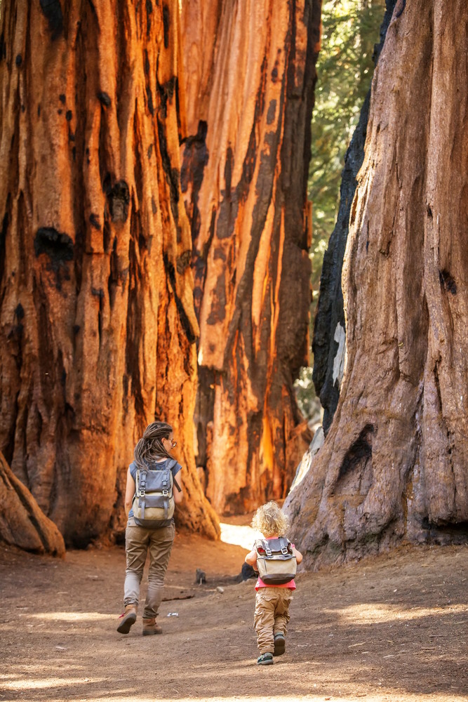 general sherman