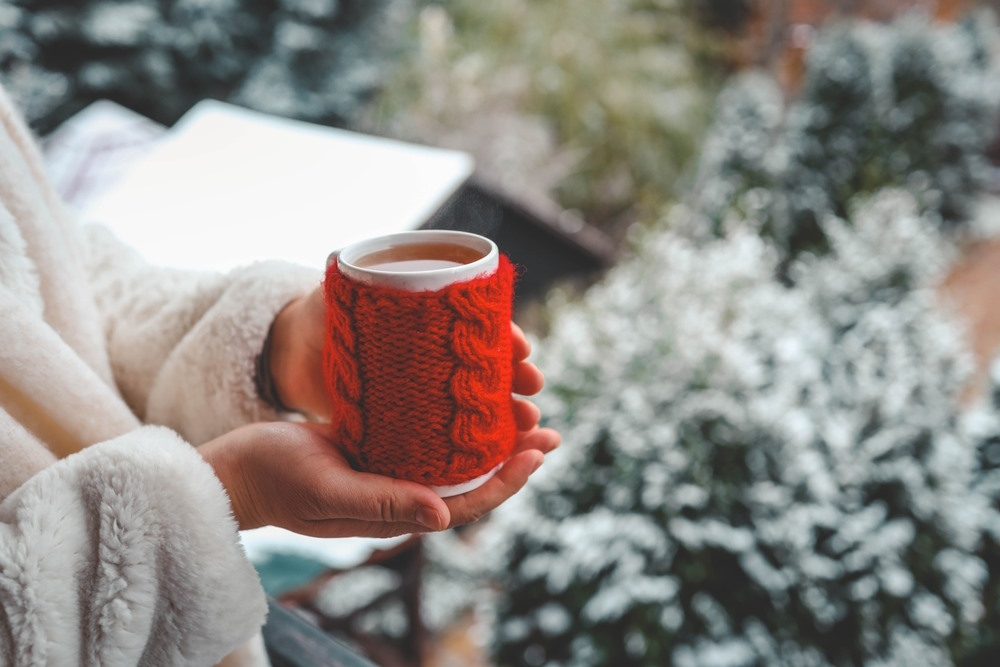 Top 10 winterproof-ideeën om van je tuin te genieten winter tuin