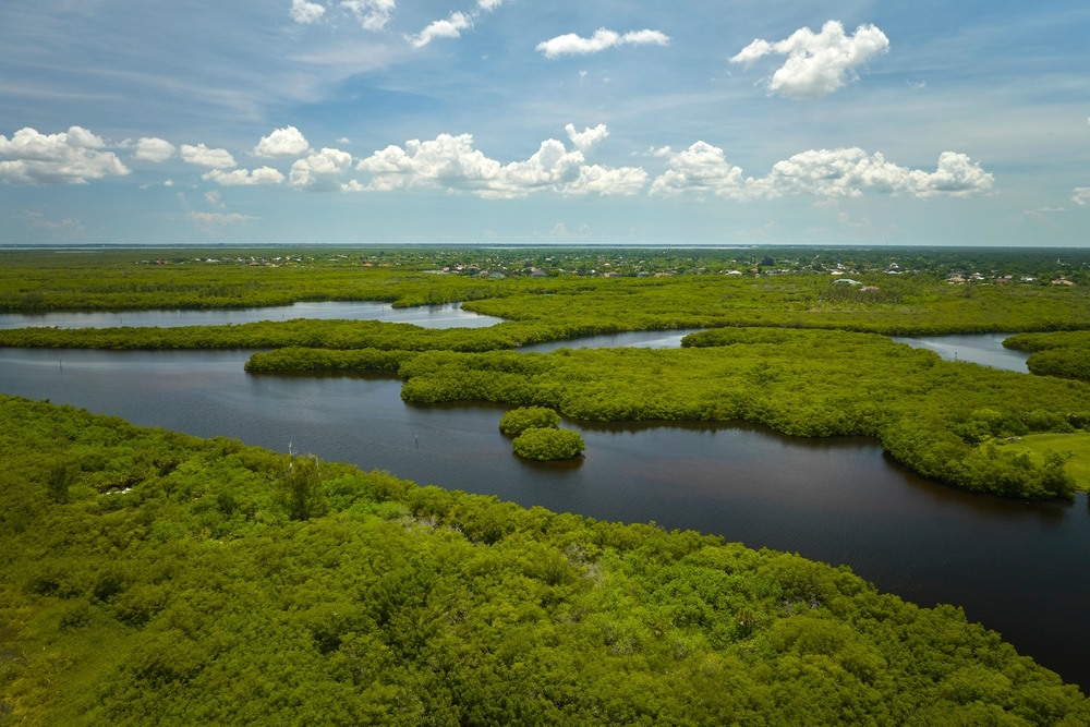 Everglades