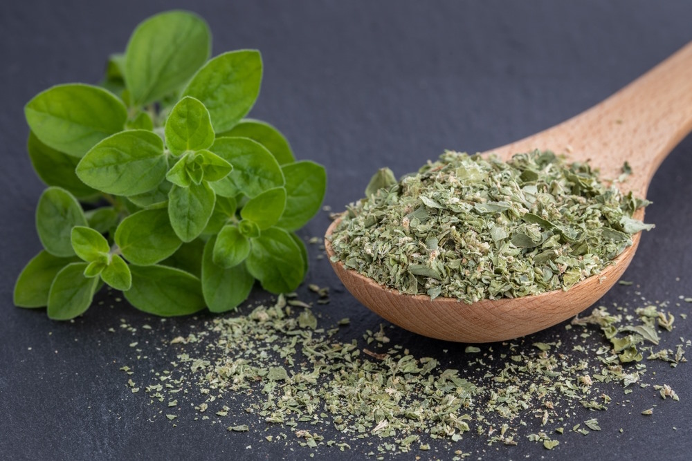 Oregano Oregano