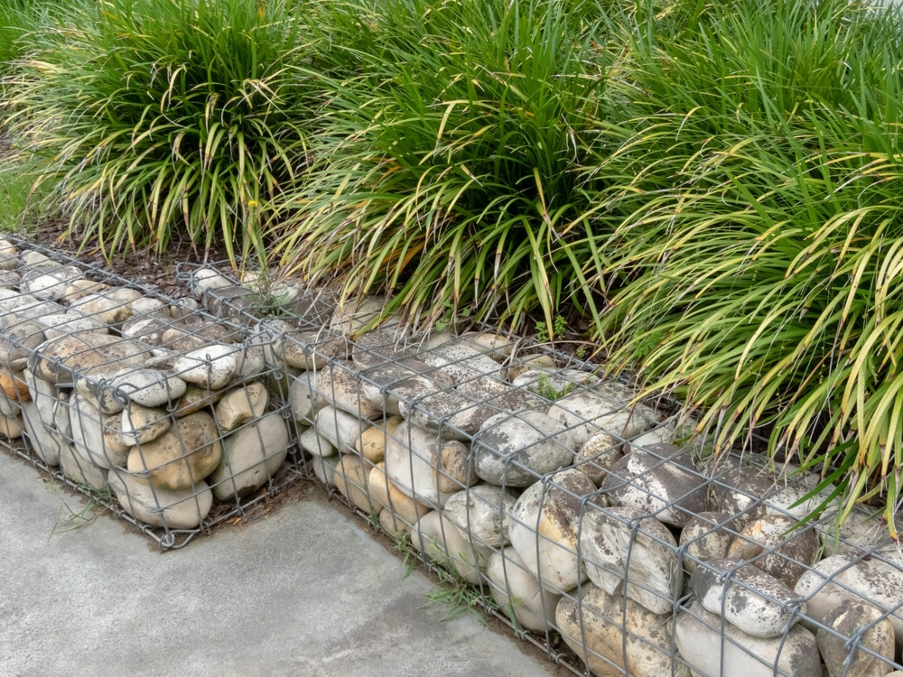 siergras
