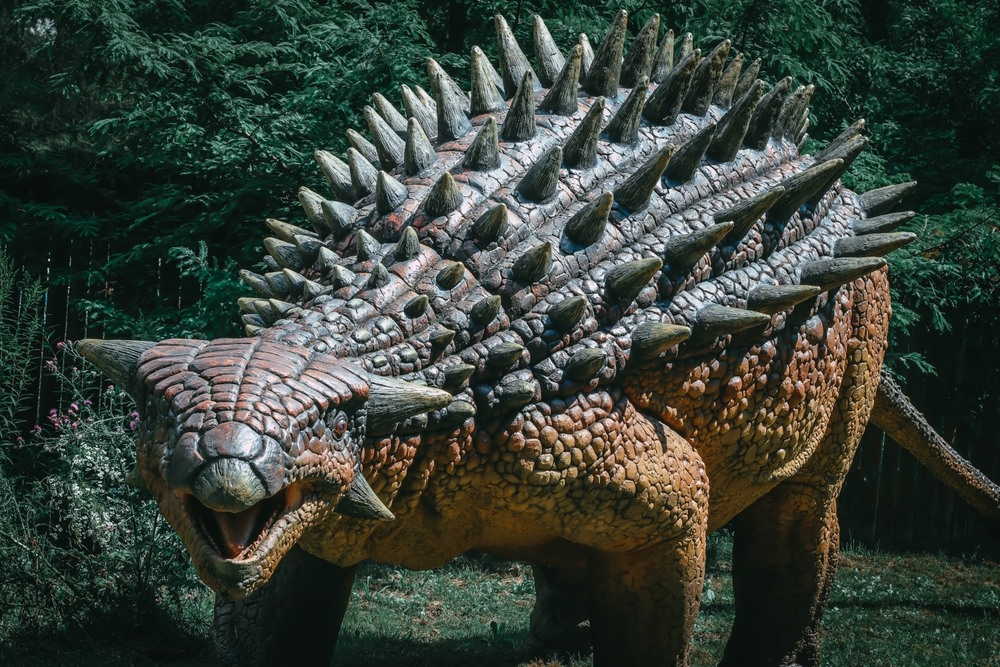 Ankylosaurus Ankylosaurus