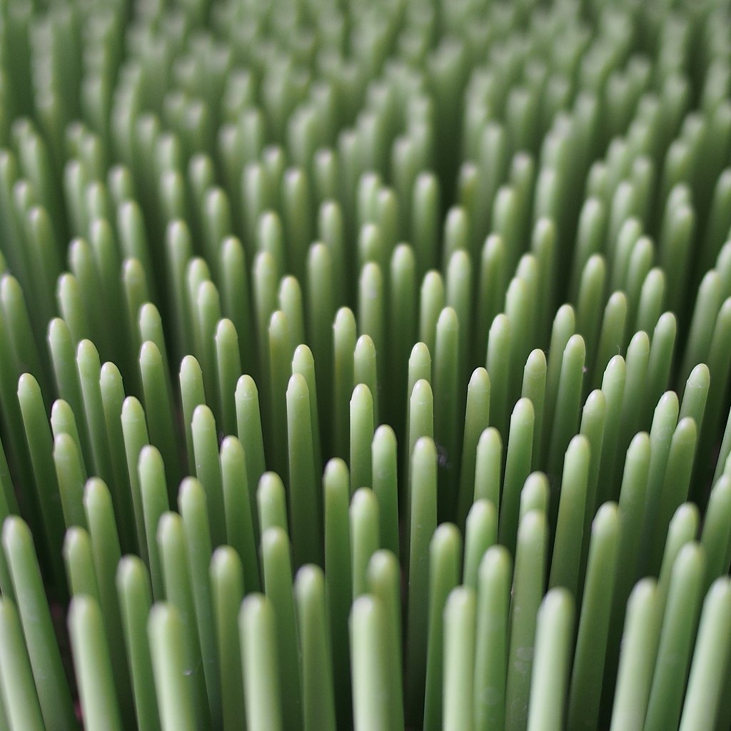 AstroTurf