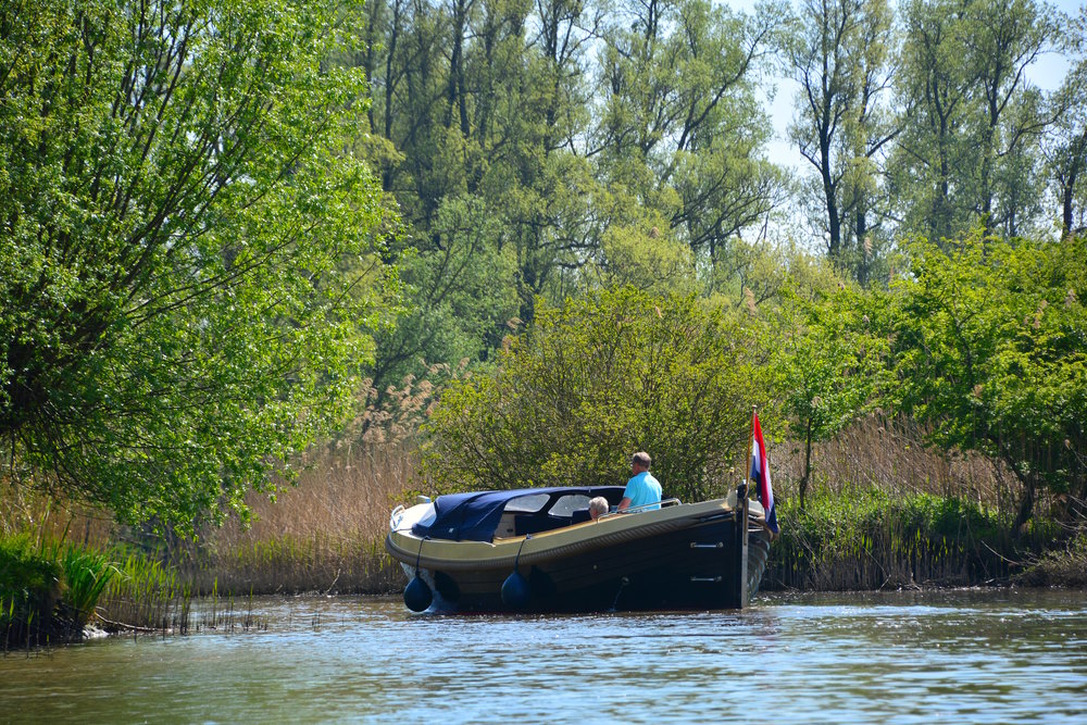 Biesbosch Biesbosch