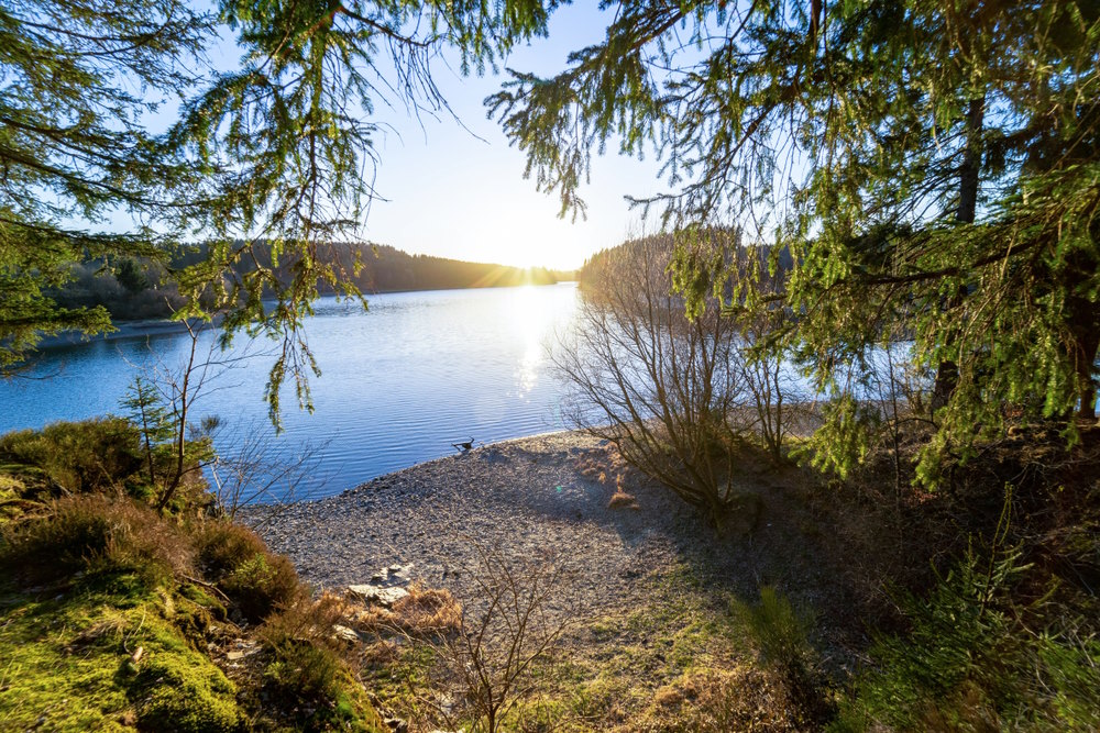 Bütgenbach Bütgenbach