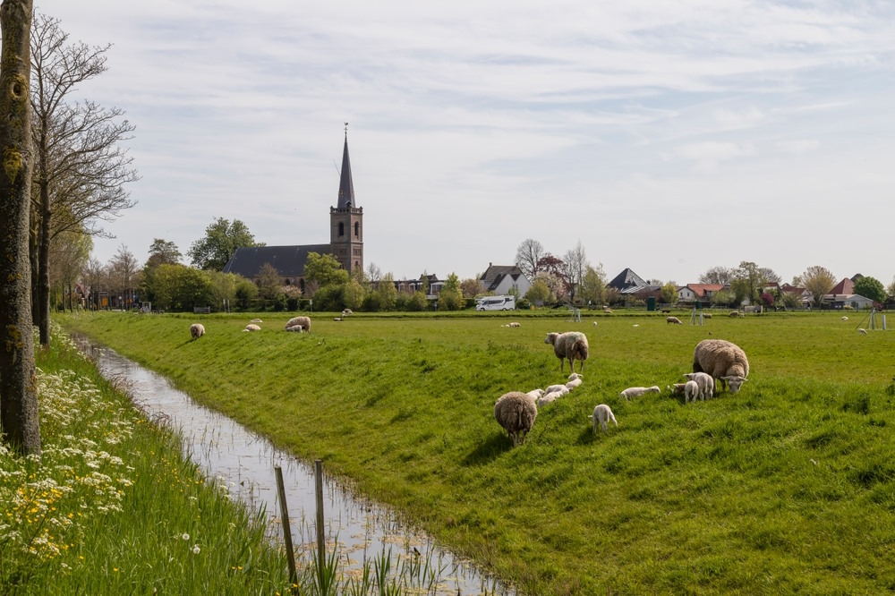 West Friesland