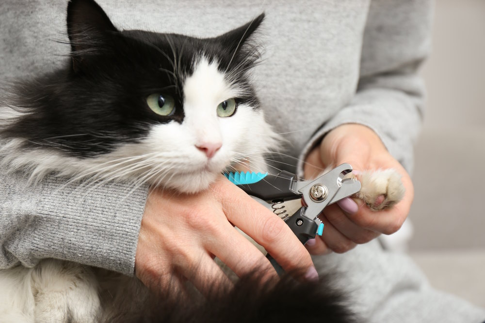 nagelknipper