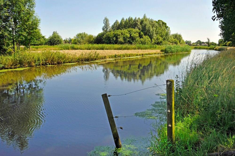 Dommel