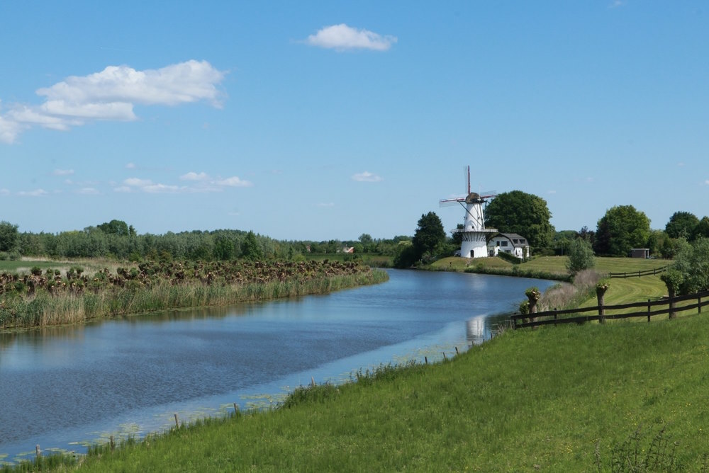 Linge