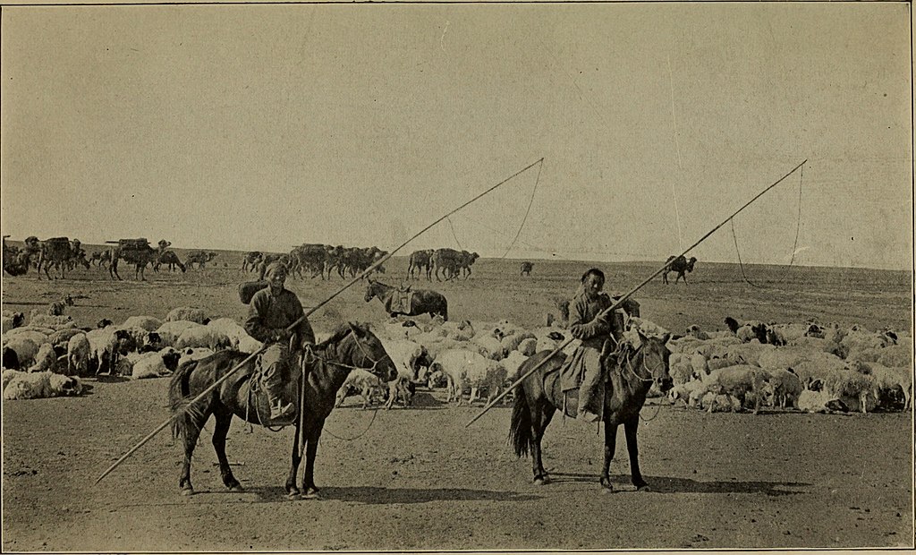paard
