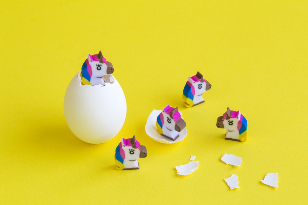 Top 10 Snelste Unicorns Ooit (Startups die $1 miljard waard werden in recordtijd) unicorn bedrijven