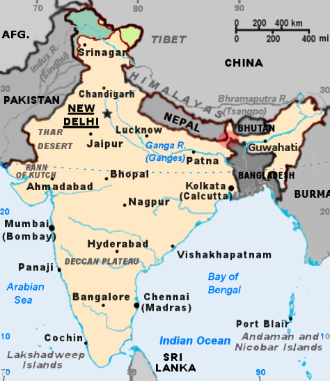 Chickensneckindia Chickensneckindia