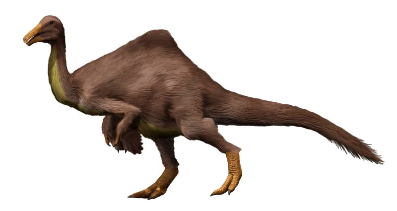 Deinocheirus
