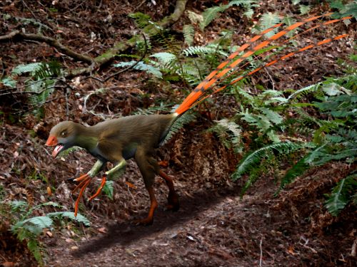 Epidexipteryx
