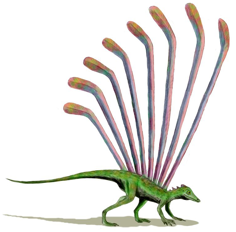Longisquama