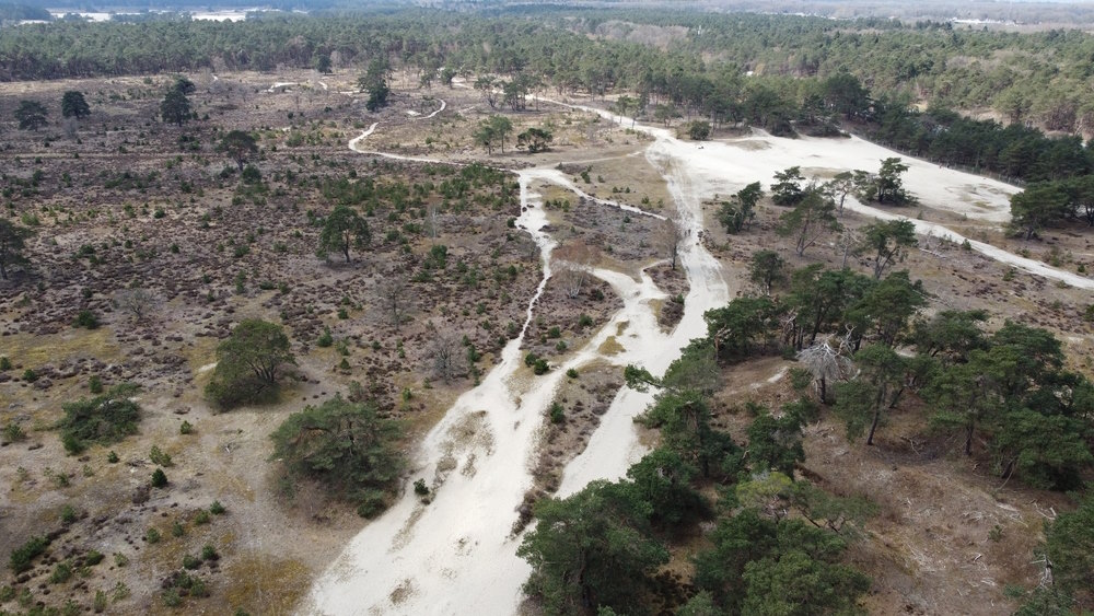 Zandverstuivingen Zandverstuivingen