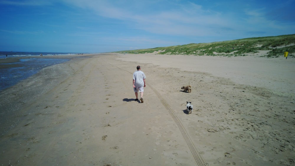 Drone,Photography,Walking,The,Dog,In,The,Netherlands