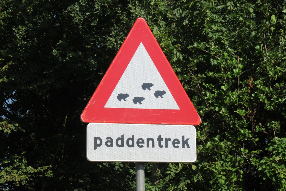 paddentrek paddentrek