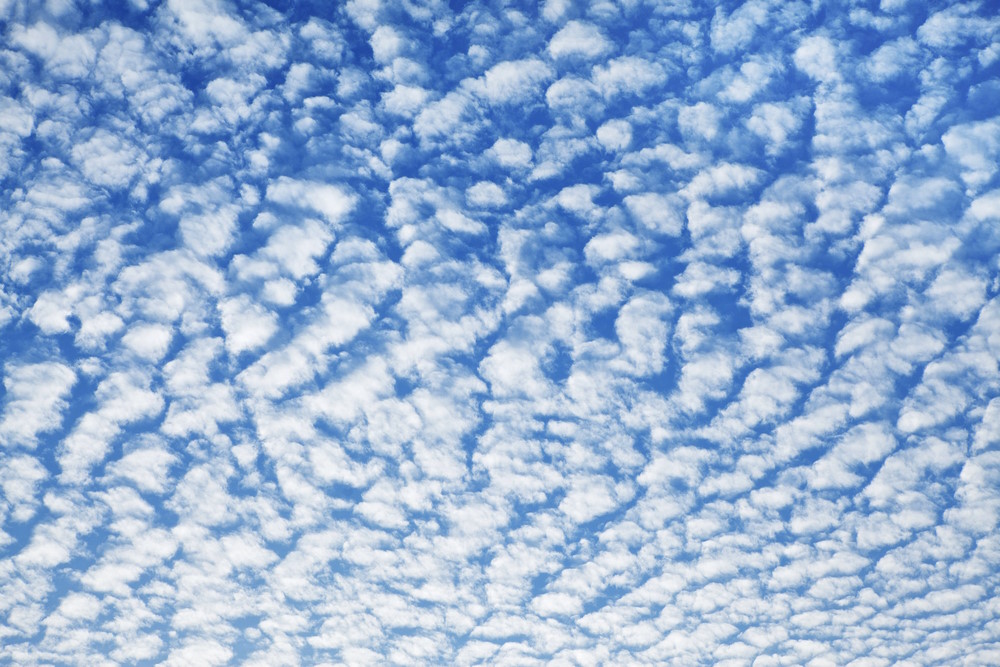 Altocumulus