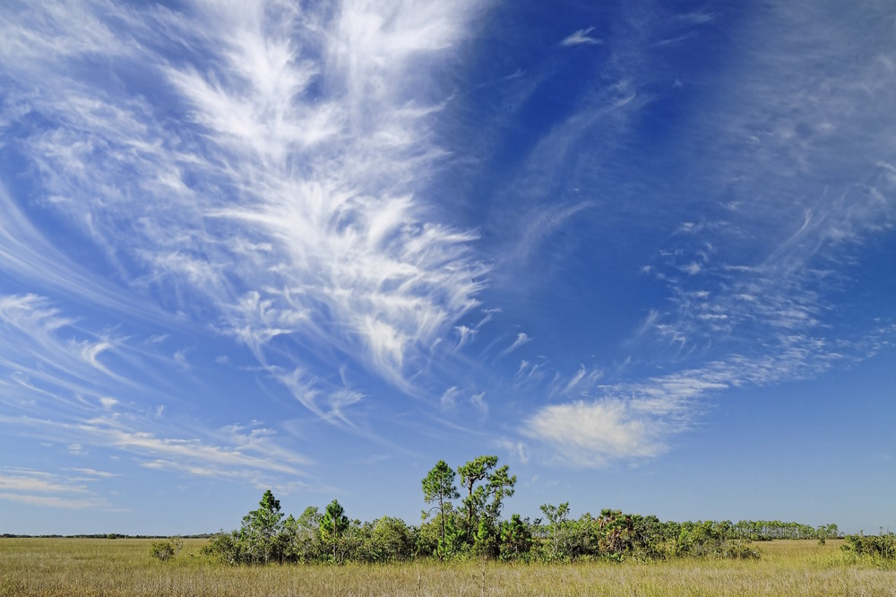 Cirrus