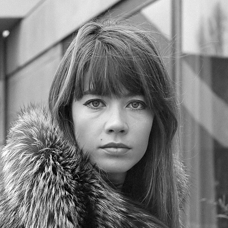 Top 10 beroemdste Franse zangeressen Franse zangeres actrice Francoise Hardy in Amsterdam
*16 december 1969