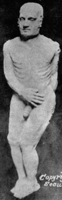 The Cardiff Giant The Cardiff Giant