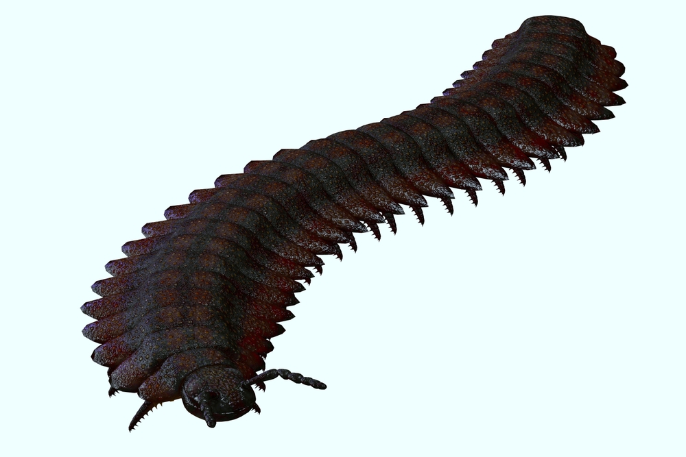 Arthropleura