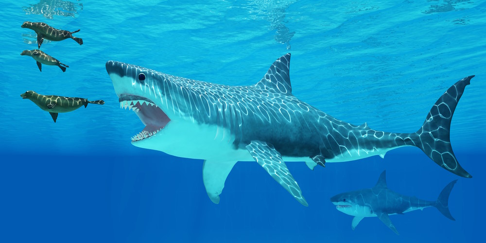 megalodon