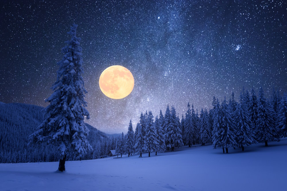 sneeuwmaan