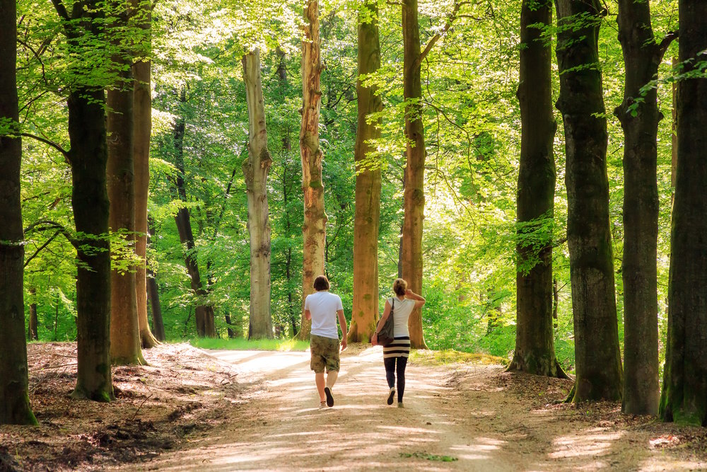 wandelen