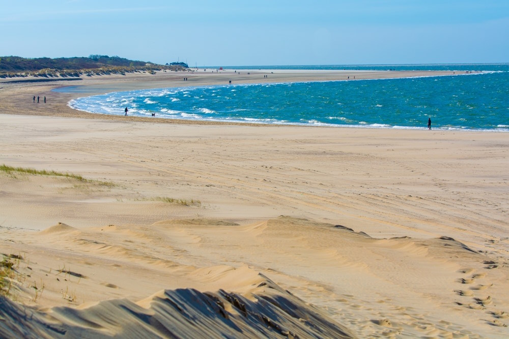 renesse