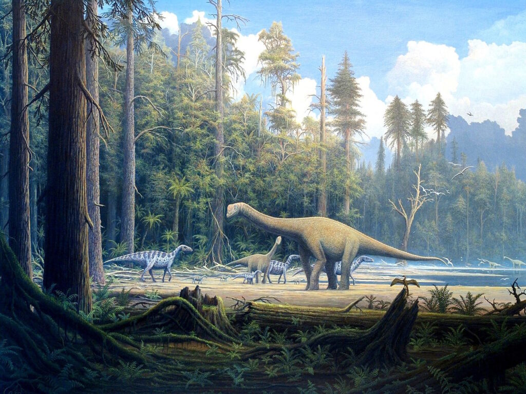 Europasaurus 
