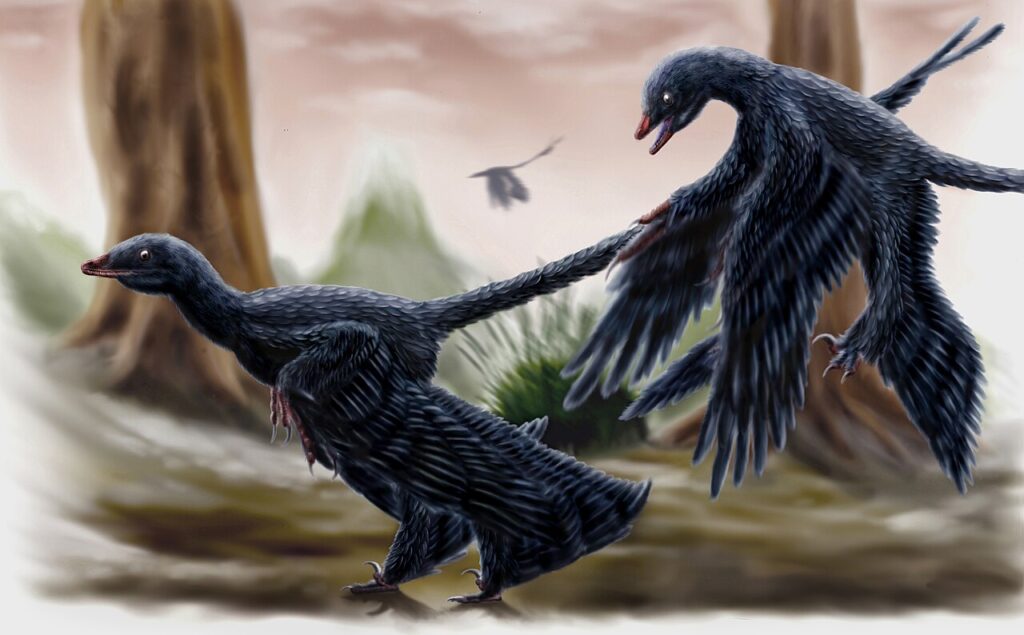 Microraptor